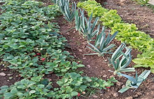 Clos du Bannet Family Escape - Foto 16