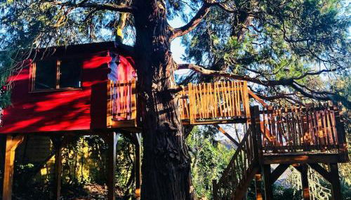 Maison de charme nichée dans le bois pour vivre une expérience unique - Foto 4, Garden, Garden view