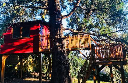 Maison de charme nichée dans le bois pour vivre une expérience unique - Foto 4