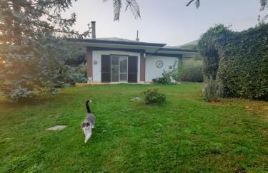 Casetta in Collina - Foto 22