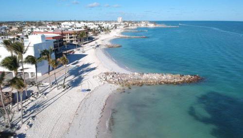 Florida Keys Sea Isle Condo Ocean Front Private Beach - Foto 3