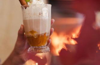 Dwór Podstolice - House of Rosenthal - Foto 42