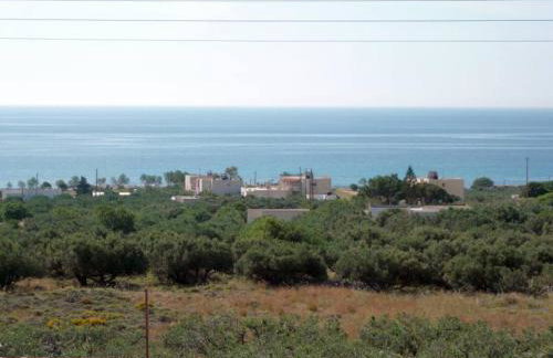 Liviko View - Foto 17