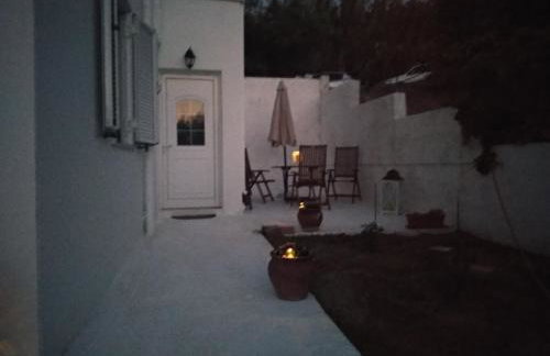 OLIVE BREEZE - Photo 33