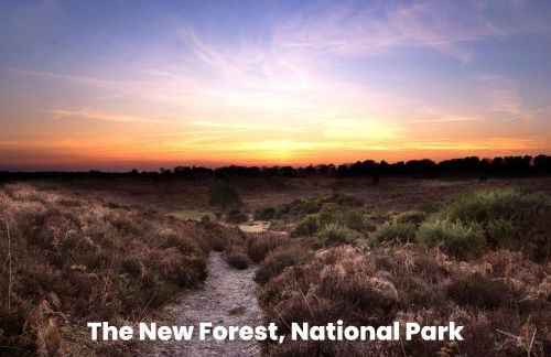 Cosy Retreat Near New Forest - Foto 24