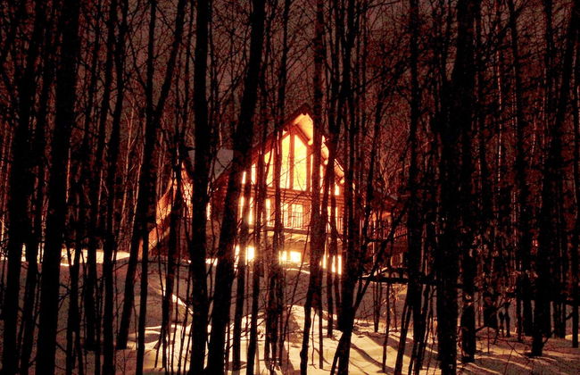 Blueberry Lake Resort - Photo 44