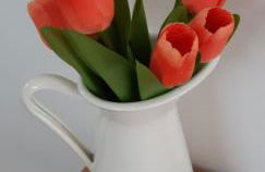 Cliff Top Studio - Photo 8