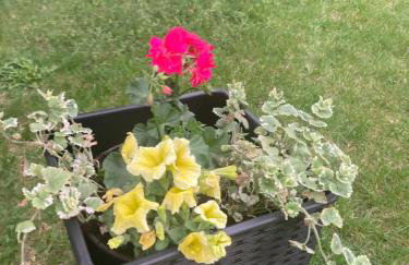 Dom w Sąpach - Foto 70