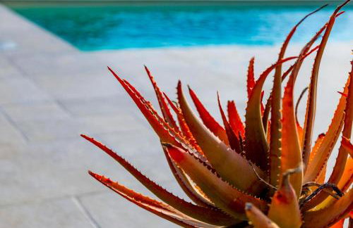 Villa Santa Lucia - Foto 67