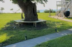 Chesapeake Bay Retreat - Foto 42