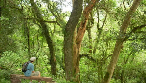 Admirez les paysages de San Lorenzo