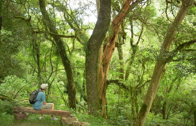 Hiking in San Lorenzo - Photo 4