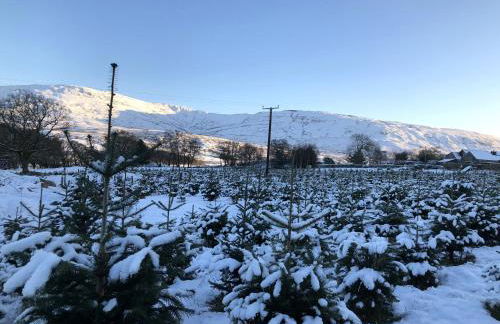 Cabin in the hills near Dolgellau - Foto 32