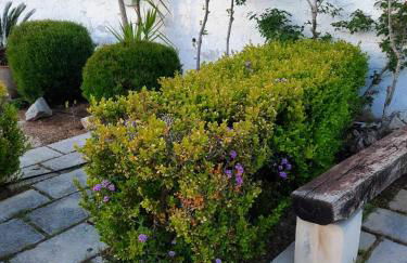 Villa Chiaraluna - Foto 70