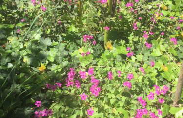 Villa La Marpierre - Foto 34