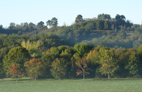 La Geneste un gîte dans la campagne sarladaise - Foto 23