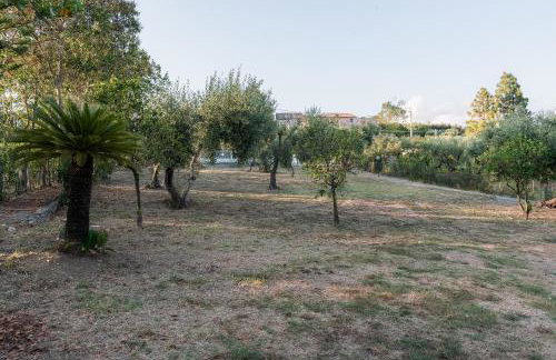 Villa del Pino, Terrazza vista Mare - Foto 70