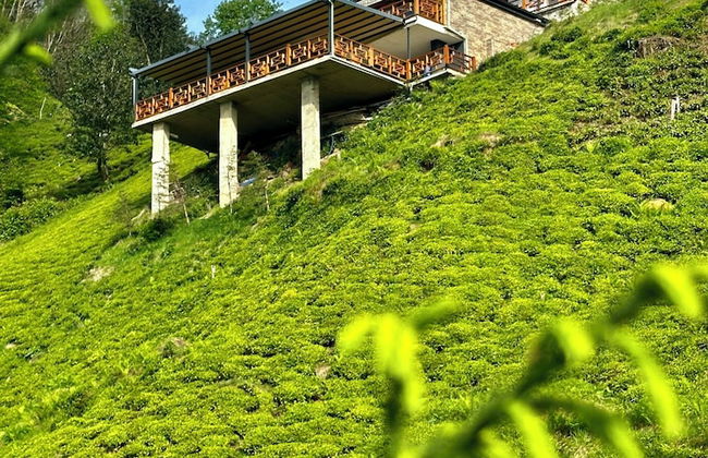 CELAZENİ BUNGALOV - Foto 36