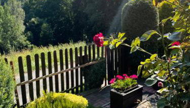 Pod Piekiełkiem - Foto 3, Garden, Garden view