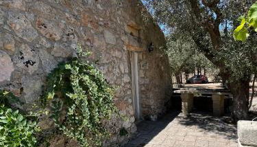 Agriturismo Salento Pietralata - Foto 5, Garden, Garden view