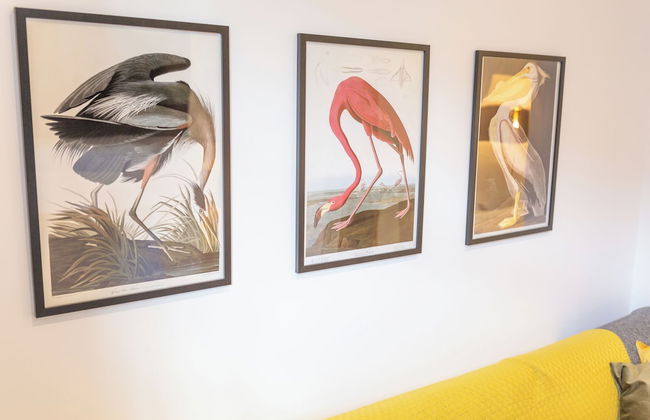 Bright & Airy 2BD - 10min walk to Centre - Foto 39