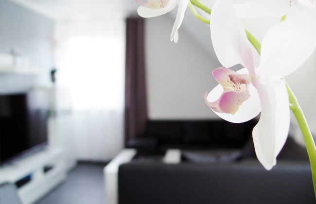 La Domus Premium - Photo 14