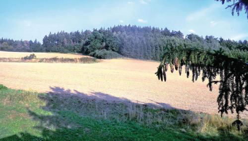 Holiday Home Thiergartener Str T - Foto 5