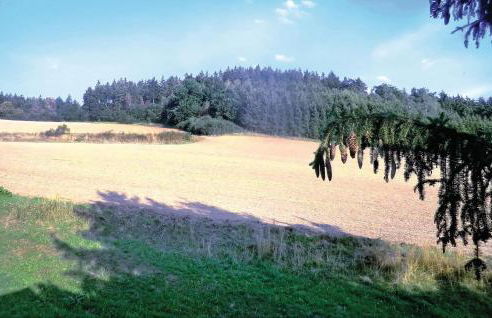 Holiday Home Thiergartener Str T - Foto 5