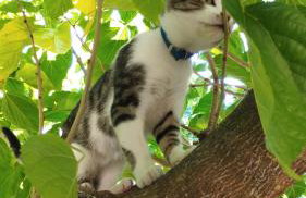 Oasis Apartments - Photo 33