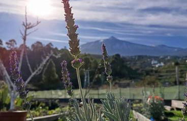 Loft Vista al Teide - Foto 37
