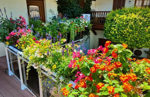 GÎTE DE LA FONTAINE - Foto 30