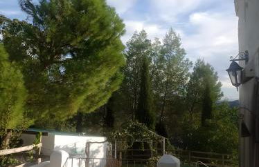 Finca Rústica La Pájara - Foto 21