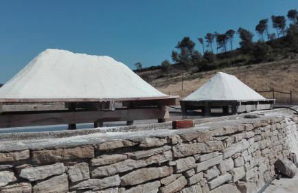 Casa da Palmeira - Foto 31