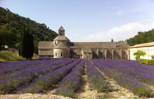 Cabane bambou - Photo 19
