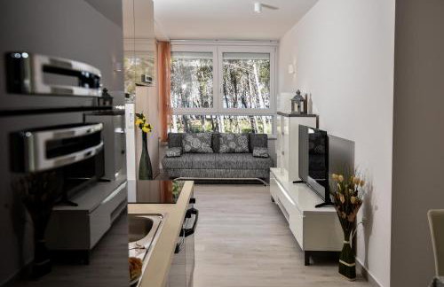 Apartments Laura 1 - Photo 47