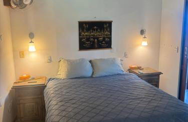 Casa do Roberto Burle Marx - Foto 50