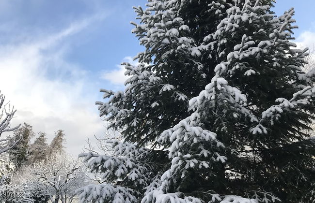 Sapanca Villa Natura Gol Evi - Foto 78