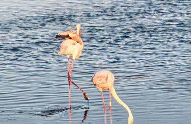 Sophia' s house appartamento Quartello - Photo 2