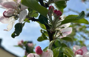 Tiny House mit Garten in See-Nähe - Foto 16