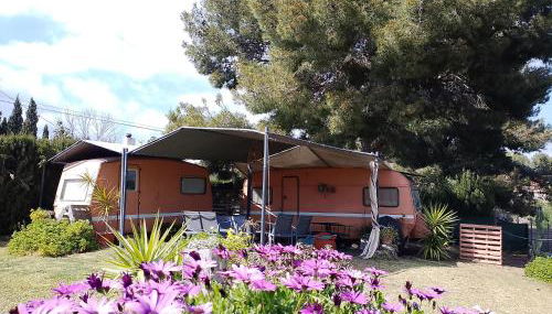 Caravana- Glamping Casa tortuga - Foto 3