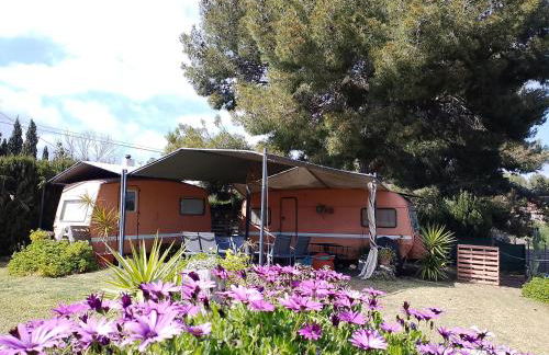 Caravana- Glamping Casa tortuga - Foto 3