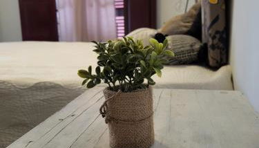 El patio de Iria - Foto 4