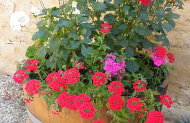 Le Domaine de Pecany - Foto 72