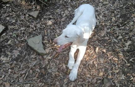 Casa Nolè - Foto 44