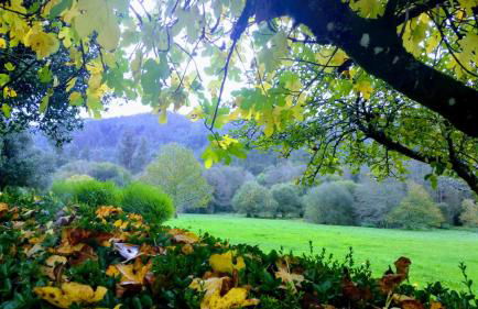 Casa Rural Graña da Acea - Foto 35