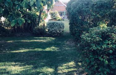 Top of the House - Photo 9