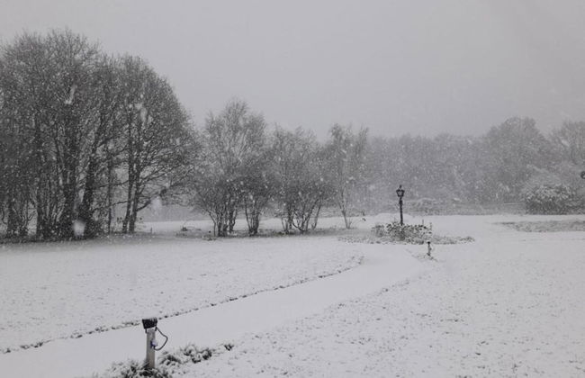 Holiday Home in Netherlands Pond View - Photo 39
