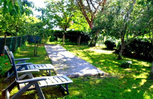 Le gemmeur - Foto 16