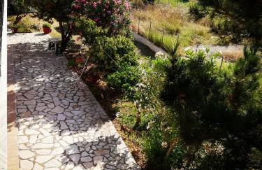 Anestis Studios - Foto 46