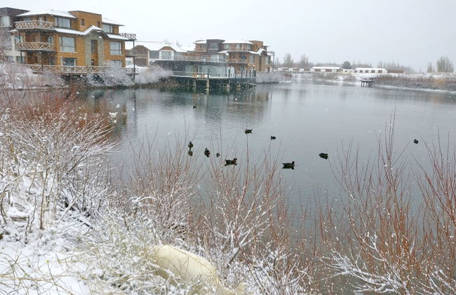 Villa Huapi - Photo 72